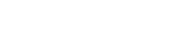 logo-pixologic